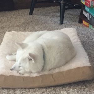 Meet your Posher, Chloe